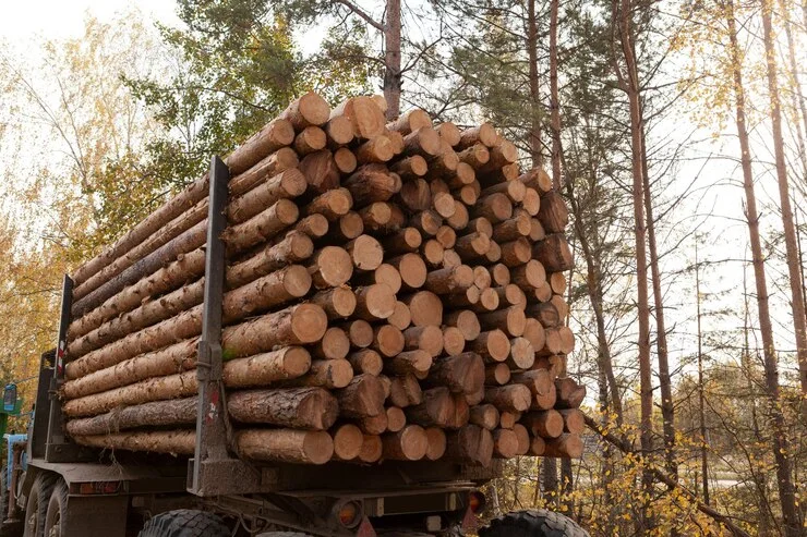 grume-camion-de-25-steres-1-1