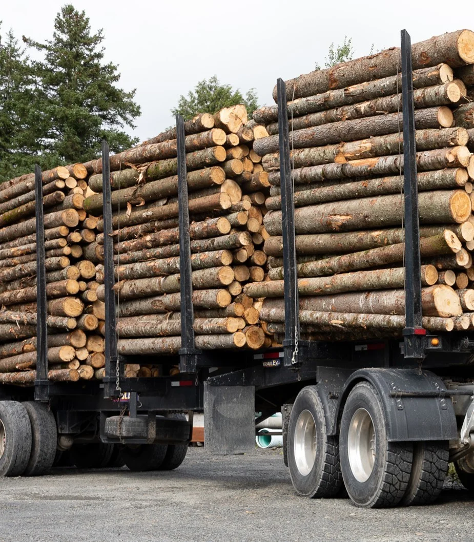 grume-camion-de-25-steres